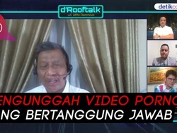 Ahli Hukum Pidana Beberkan Konstruksi Hukum UU ITE