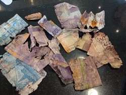 Celengan Jadi Korban Banjir, Pria Ini Tukarkan Uang Rusak ke BI