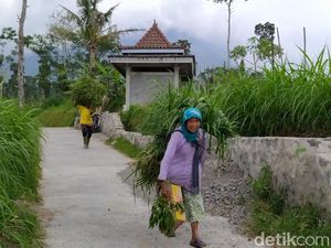 Cerita Warga Magelang Dengar Gemuruh Merapi Sejak Semalam hingga Pagi Tadi