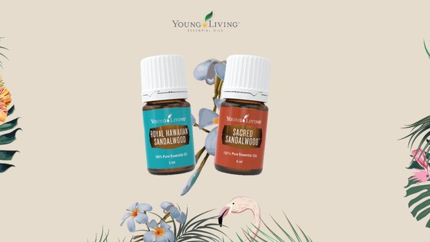 soothing essential oil varian chamomile dari Young Living