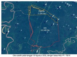 Korindo Group Bantah Sengaja Bakar Lahan di Papua untuk Perluasan Lahan Sawit