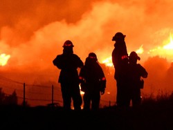 Biden Siapkan Rencana Paling Progresif untuk Atasi Perubahan Iklim