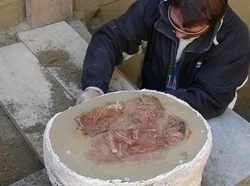 Ditemukan Kuburan Bayi Kembar Berusia 31 Ribu Tahun!