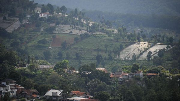 Begini Potret Lahan Kritis di Bandung Utara