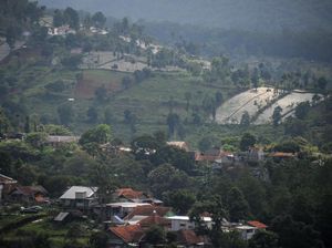 Begini Potret Lahan Kritis di Bandung Utara