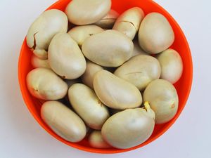 5 Olahan Biji Nangka yang Enak dan Murah Meriah