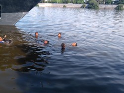 Antisipasi Korban Tenggelam saat Banjir, Polair Ungkap Cara Evakuasi