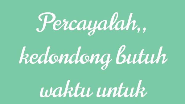 10 Status Whatsapp Orang Indonesia, Awalnya Bijak Akhirnya Malah Bikin Geli