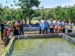 Ipong Harapkan Pemuda Milenial Utamakan Potensi Desa