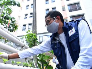 Kampung Budikdamber Rusun Pengadegan yang Tetap Hijau di Lahan Sempit