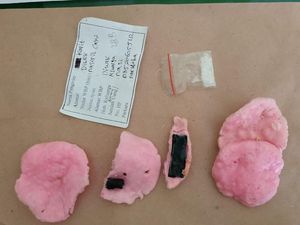 Seorang Wanita Selundupkan Sabu ke Lapas Jombang Pakai Kerupuk Upil