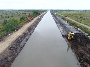 Bagaimana Progres Lumbung Pangan Kalimantan?