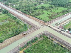 Penasaran Mau Lihat Lumbung Pangan RI? Buruan Cek di Sini