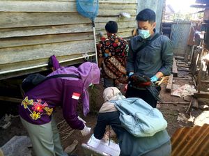 Pandemi Corona Belum Usai, Ratusan Kasus Flu Burung Ditemukan di Bontang