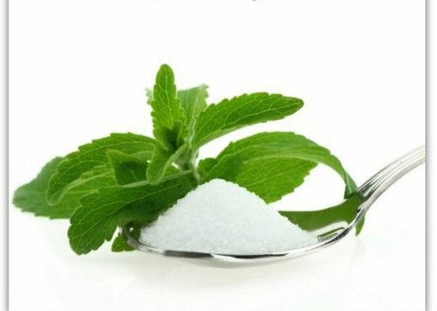 Stevia/Foto: Pinterest bahan alternatif pengganti gula pasir