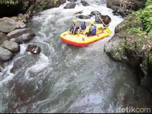 Memacu Adrenalin dengan Arung Jeram di Sungai Pekalen
