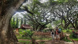 Potret Hutan De Djawatan, Mempesona di Kala Pandemi