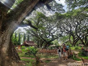 Potret Hutan De Djawatan, Mempesona di Kala Pandemi