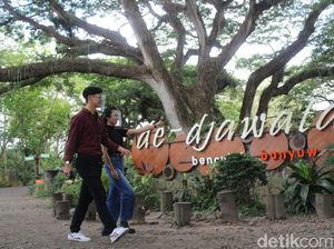 Ke Hutan De-Djawatan Harus Bermasker, Disuruh Pulang Kalau Tak Mau