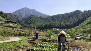 Potret Lembah Indah, Destinasi Baru dari Malang