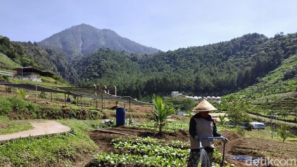 Potret Lembah Indah, Destinasi Baru dari Malang