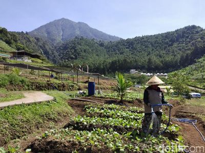 Potret Lembah Indah, Destinasi Baru dari Malang