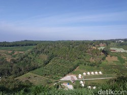 Celebrity on Vacation: Mengunjungi Kebun Stroberi dan Sayuran di Malang