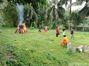 Ini Dugaan Sebab Munculnya Miliaran Semut yang Meneror Warga Banyumas