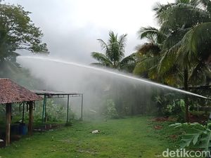 Redam Teror Semut di Banyumas, Petugas Kerahkan Water Cannon