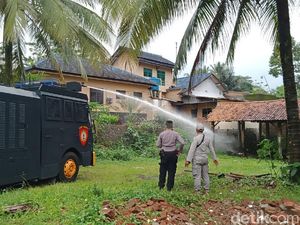 Ngerinya Teror Semut di Banyumas Sejak 2017, Ular Pun Dibuat Tak Berkutik Ngerinya Teror Semut di Banyumas Sejak 2017, Ular Pun Dibuat Tak Berkutik
