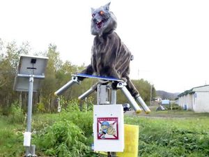 Jepang Gunakan Robot Serigala Untuk Takuti Beruang