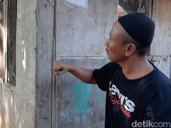 Teror Semut Serbu Banyumas, Ular Pun Dibuat Tak Berkutik