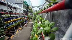 Asrinya Kampung Sehat di Utan Kayu Selatan Jakarta