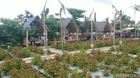 Desa Wisata Nangkula Park Tulungagung yang Lagi Hits