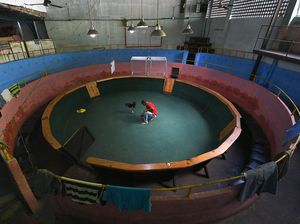 Foto: Club Sabung Ayam Venezuela Ini Tutup Selama Pandemi