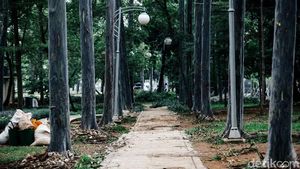Menengok Revitalisasi Taman Tebet yang Dirombak Jadi Eco Garden