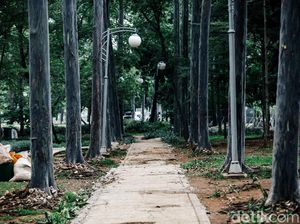 Menengok Revitalisasi Taman Tebet yang Dirombak Jadi Eco Garden Menengok Revitalisasi Taman Tebet yang Dirombak Jadi Eco Garden