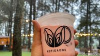 Ngopi Santai di Kafe Daong dengan Panoroma Pohon Pinus