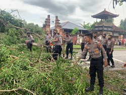 Tim Polresta Mataram Evakuasi Pohon Tumbang Akibat Angin Kencang