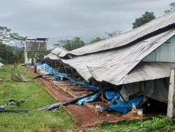 Puting Beliung di Sukabumi, Tiang Listrik-Puluhan Kandang Ayam Ambruk