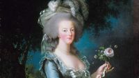 Potret Mewahnya Kamar Marie Antoinette, Punya Perpustakaan Berlapis Emas