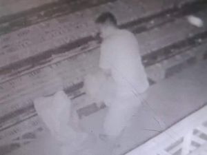 Pemilik Pasang CCTV Gegara Ternak Ayam Sering Hilang, Ini yang Terekam