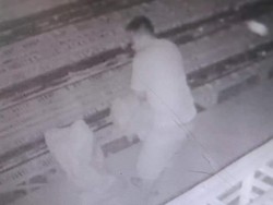 Pemilik Pasang CCTV Gegara Ternak Ayam Sering Hilang, Ini yang Terekam
