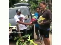 Video Viral Mobil Dibarter Tanaman Hias Disebut Hanya Settingan