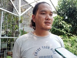 Pemilik Bantah Viral Mobil Dibarter Tanaman Hias Disebut Settingan