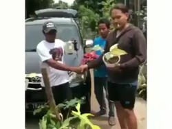 Cerita di Balik Video Viral Mobil Ditukar Tanaman Hias