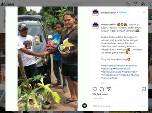 Viral Mobil Dibarter Tanaman Hias, Netizen Bilang Setingan