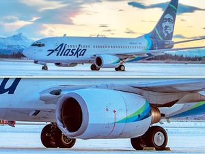 Sedih, Mama Beruang Tewas Ditabrak Pesawat dan Ada Anak di Sampingnya Sedih, Mama Beruang Tewas Ditabrak Pesawat dan Ada Anak di Sampingnya