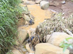 Duh! 9,12 Juta Warga Jabar Masih BAB Sembarangan