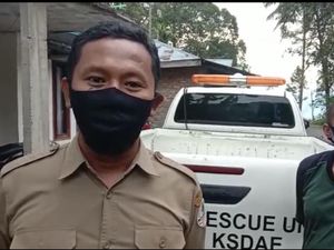 Beruang Madu Muncul di Kelok 44 Agam Resahkan Warga, Perangkap Dipasang